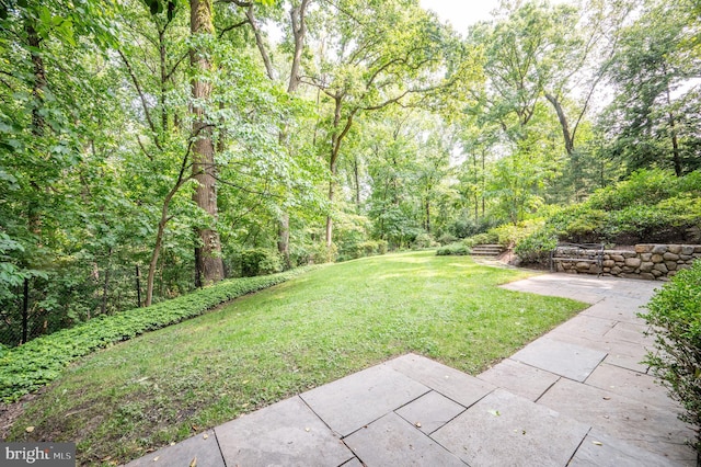 6501 Menlo Rd, Mclean, VA 22101 - view of grassy yard with a patio area and a view of trees