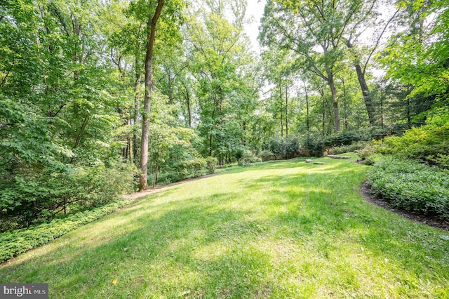 6501 Menlo Rd, Mclean, VA 22101 - view of green lawn with a wooded view
