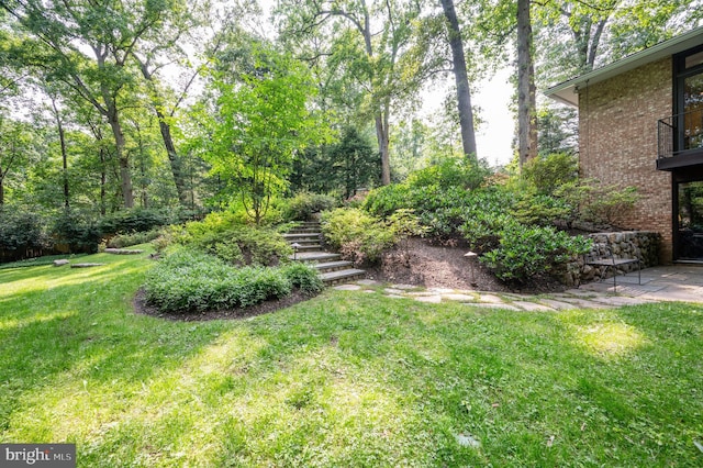 6501 Menlo Rd, Mclean, VA 22101 - view of green lawn featuring stairway