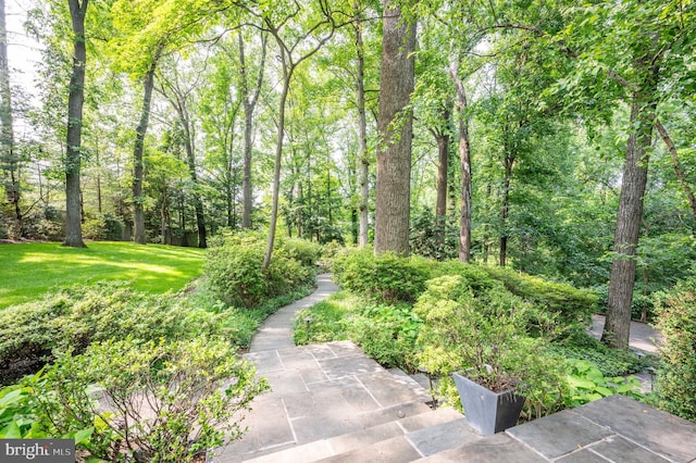 6501 Menlo Rd, Mclean, VA 22101 - view of community with a wooded view and a yard