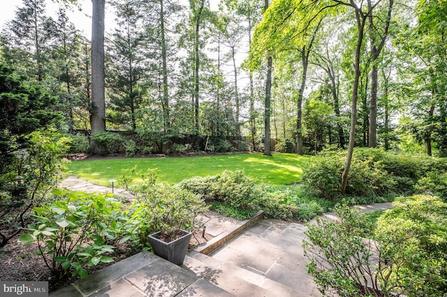 6501 Menlo Rd, Mclean, VA 22101 - view of yard featuring a patio