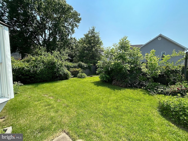 13012 Daley St, Silver Spring, MD 20906 - view of grassy yard