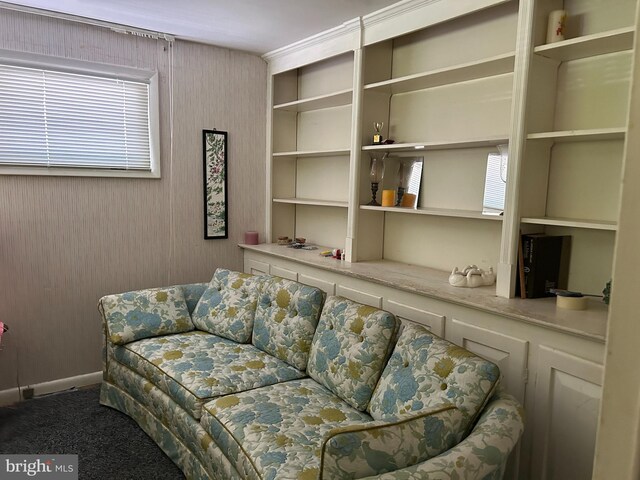 13012 Daley St, Silver Spring, MD 20906 - living area with carpet flooring and plenty of natural light