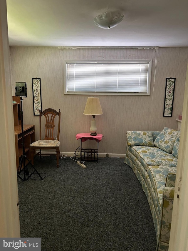 13012 Daley St, Silver Spring, MD 20906 - living area featuring carpet