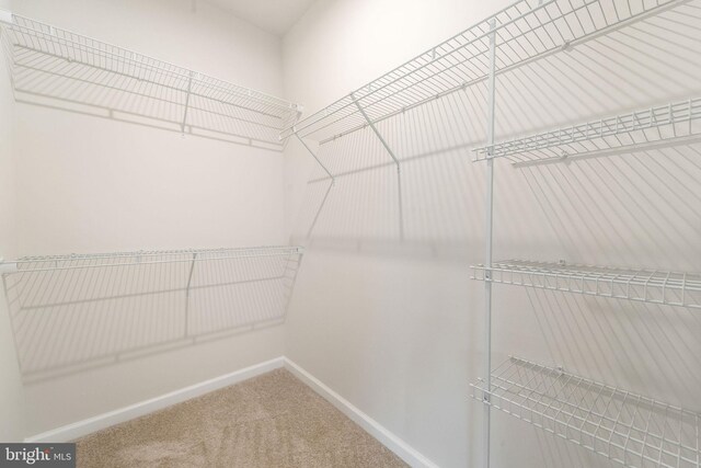1307 Kohana Dr, Clarksboro, NJ 08020 - spacious closet with carpet