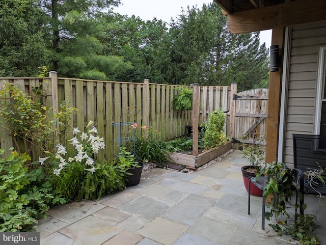 603 Howitzer Ter NE, Leesburg, VA 20176 - view of patio / terrace featuring a vegetable garden and a gate