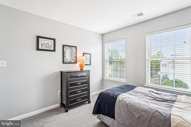 603 Howitzer Ter NE, Leesburg, VA 20176 - bedroom featuring light carpet and baseboards