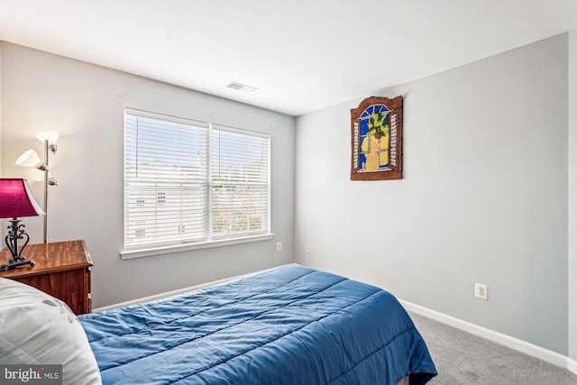 603 Howitzer Ter NE, Leesburg, VA 20176 - carpeted bedroom with baseboards