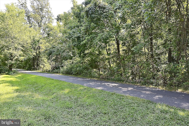 603 Howitzer Ter NE, Leesburg, VA 20176 - view of road featuring a view of trees