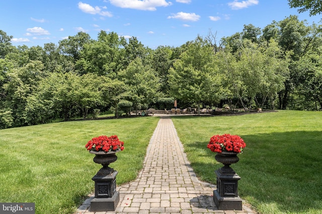 77 Lionheart Ter, Falling Waters, WV 25419 - view of grassy yard