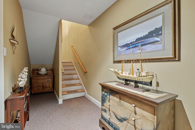77 Lionheart Ter, Falling Waters, WV 25419 - staircase featuring carpet floors and baseboards