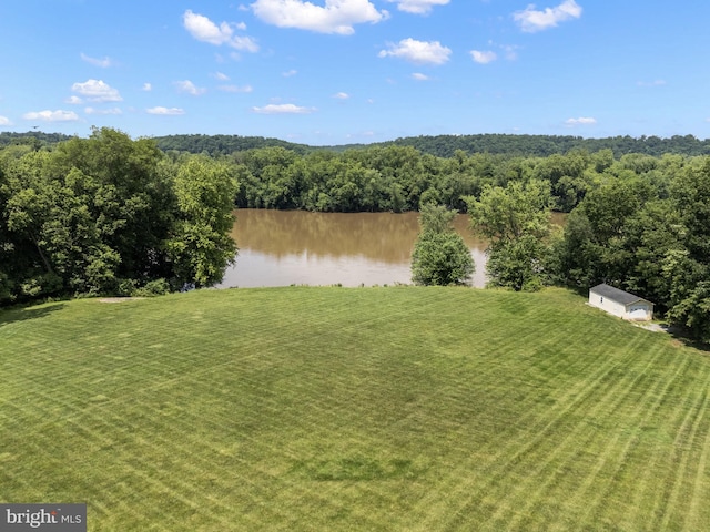 77 Lionheart Ter, Falling Waters, WV 25419 - water view with a forest