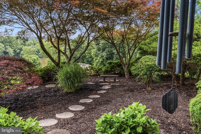 77 Lionheart Ter, Falling Waters, WV 25419 - view of yard