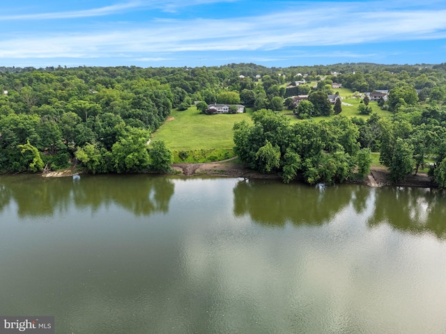 77 Lionheart Ter, Falling Waters, WV 25419 - drone / aerial view of a large body of water