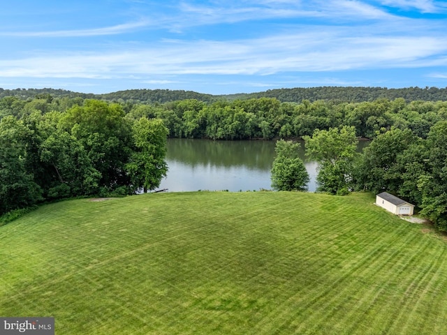 77 Lionheart Ter, Falling Waters, WV 25419 - water view featuring a forest