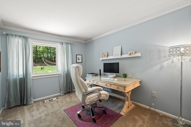 2404 Sugarberry Ct, Reston, VA 20191 - carpeted office space with crown molding and baseboards