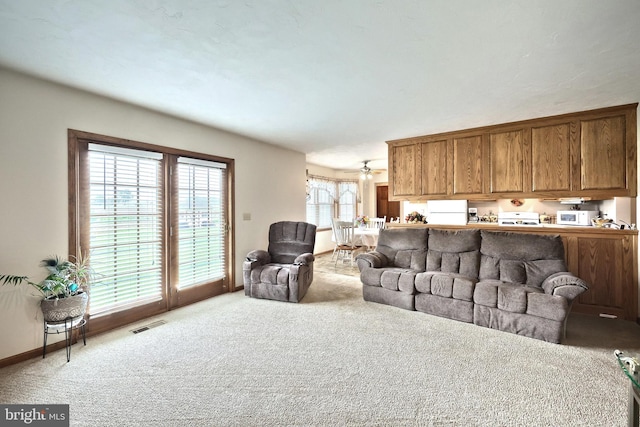 574 Mathias Rd, Littlestown, PA 17340 - living room with carpet