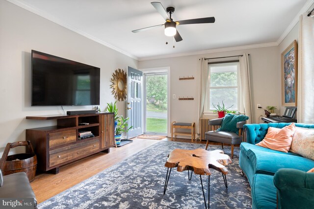 4741 20th St N, Arlington, VA 22207 - living area featuring wood finished floors, a ceiling fan, and crown molding
