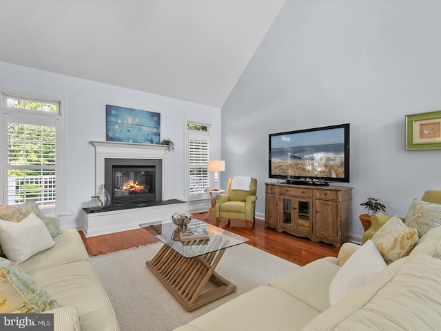 1 Lake Village Cir, Ocean View, DE 19970 - living area with a glass covered fireplace, wood finished floors, high vaulted ceiling, and baseboards