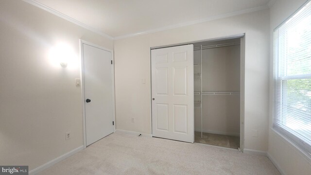 7705 Lafayette Forest Dr Unit 77, Annandale, VA 22003 - unfurnished bedroom featuring light carpet, a closet, and crown molding
