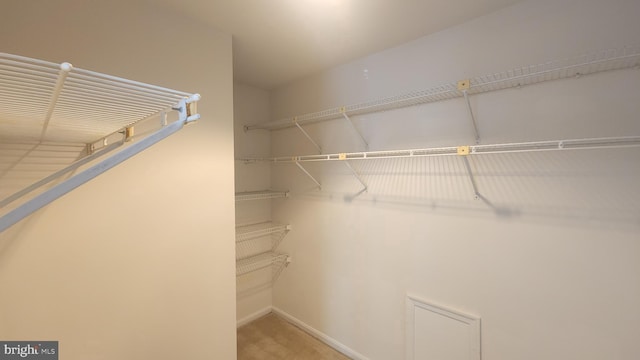 7705 Lafayette Forest Dr Unit 77, Annandale, VA 22003 - view of spacious closet