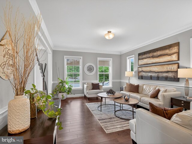 548 E Delp Rd, Lancaster, PA 17601 - living room with ornamental molding, healthy amount of natural light, and dark wood-style floors