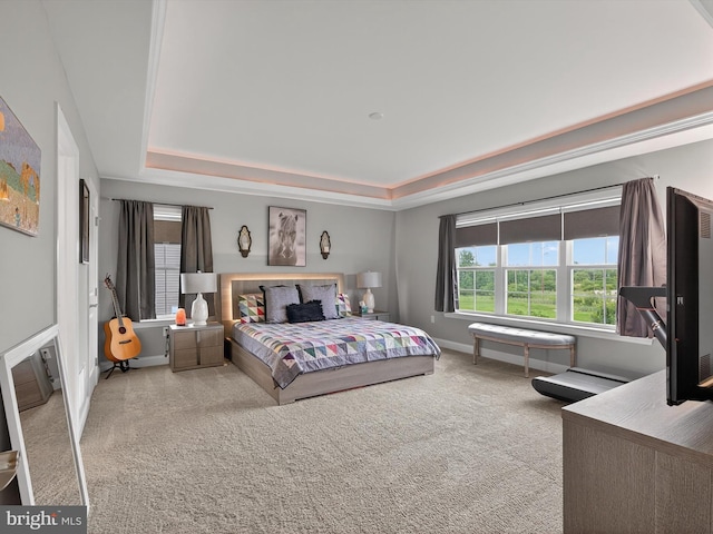 548 E Delp Rd, Lancaster, PA 17601 - carpeted bedroom featuring a raised ceiling