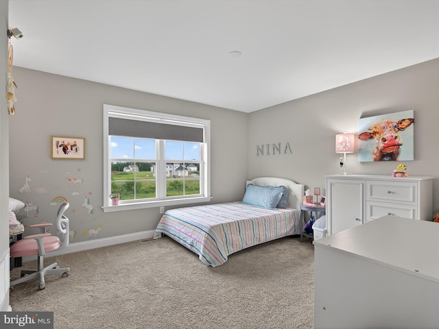 548 E Delp Rd, Lancaster, PA 17601 - bedroom featuring light carpet and baseboards