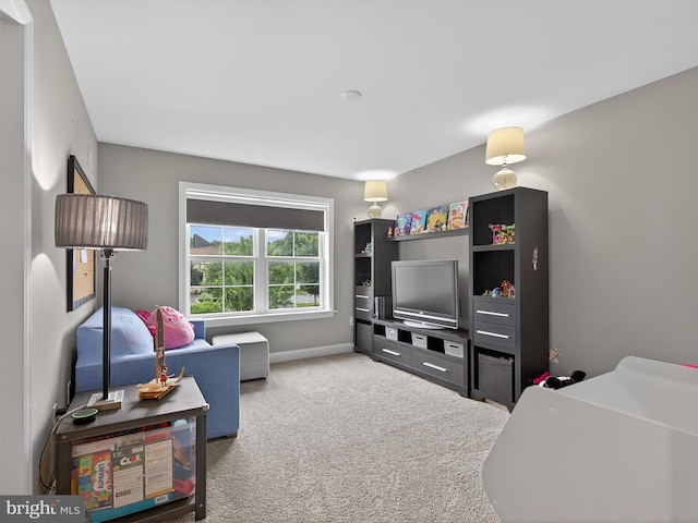 548 E Delp Rd, Lancaster, PA 17601 - living room with carpet floors and baseboards