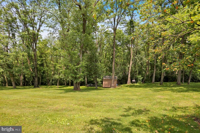 129 Deck Rd, Womelsdorf, PA 19567 - view of grassy yard featuring a storage shed