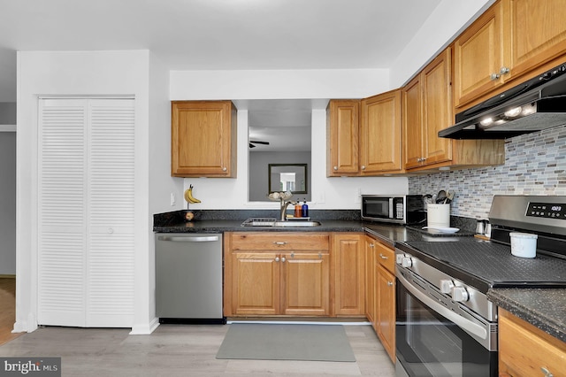 3363 Style Ave, Laurel, MD 20724 - kitchen featuring appliances with stainless steel finishes, a sink, under cabinet range hood, light wood finished floors, and tasteful backsplash