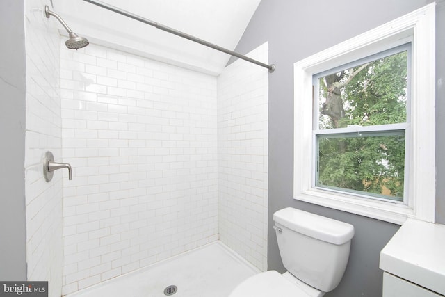 133 E Federal St, Burlington, NJ 08016 - full bath with a tile shower, vaulted ceiling, toilet, and vanity