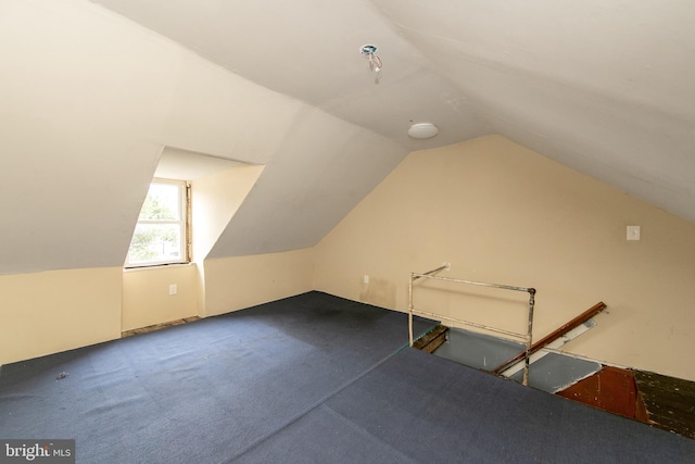 133 E Federal St, Burlington, NJ 08016 - additional living space with vaulted ceiling