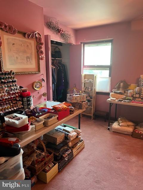 46 Carriage Stop Pl, Florence, NJ 08518 - bedroom with a closet and carpet floors