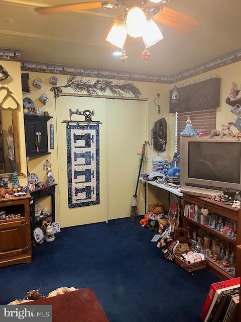 46 Carriage Stop Pl, Florence, NJ 08518 - misc room with a ceiling fan and carpet flooring