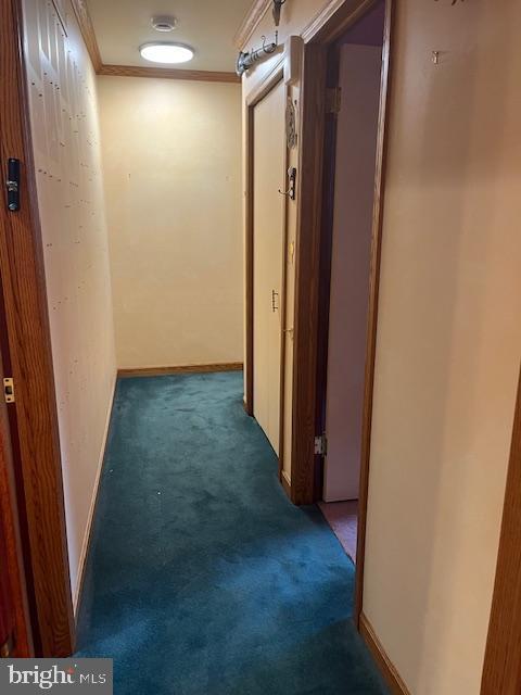 46 Carriage Stop Pl, Florence, NJ 08518 - hallway featuring carpet and ornamental molding