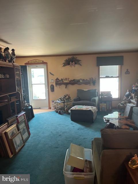46 Carriage Stop Pl, Florence, NJ 08518 - carpeted living room featuring healthy amount of natural light and crown molding