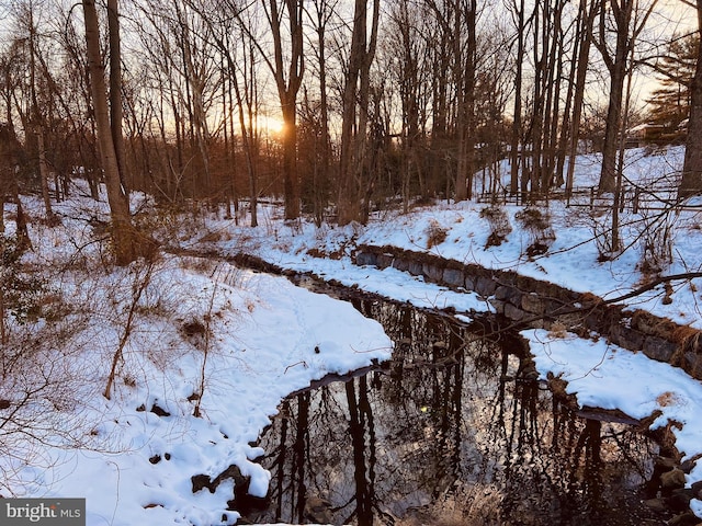201 Mowbray Rd, Silver Spring, MD 20904 - view of snowy yard