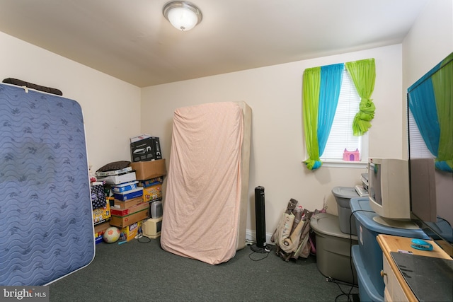 2421 E Madison St E, Baltimore, MD 21205 - misc room with carpet