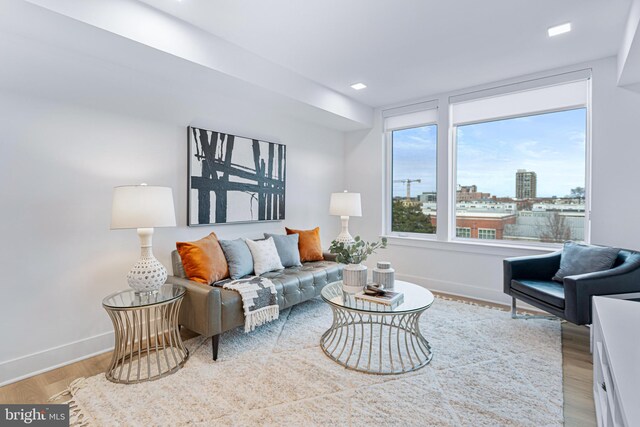 701 N Henry St Unit 212, Alexandria, VA 22314 - living room with baseboards, wood finished floors, and a view of city