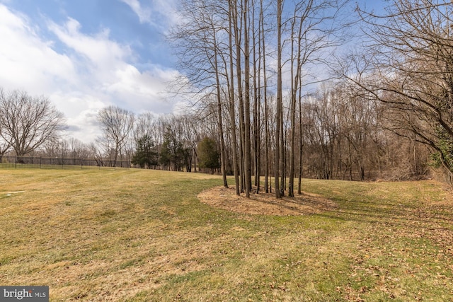 12436 Bacall Ln, Potomac, MD 20854 - view of grassy yard