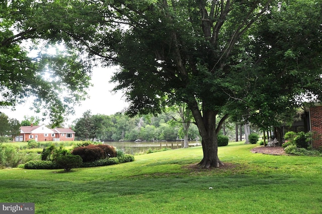3202 Holly Ln, Cambridge, MD 21613 - view of green lawn featuring a water view