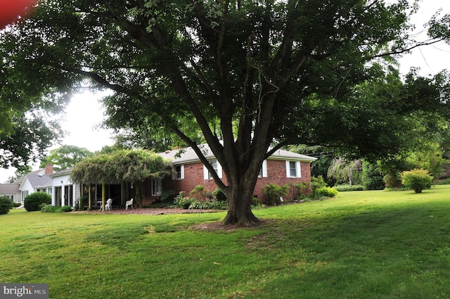 3202 Holly Ln, Cambridge, MD 21613 - view of grassy yard