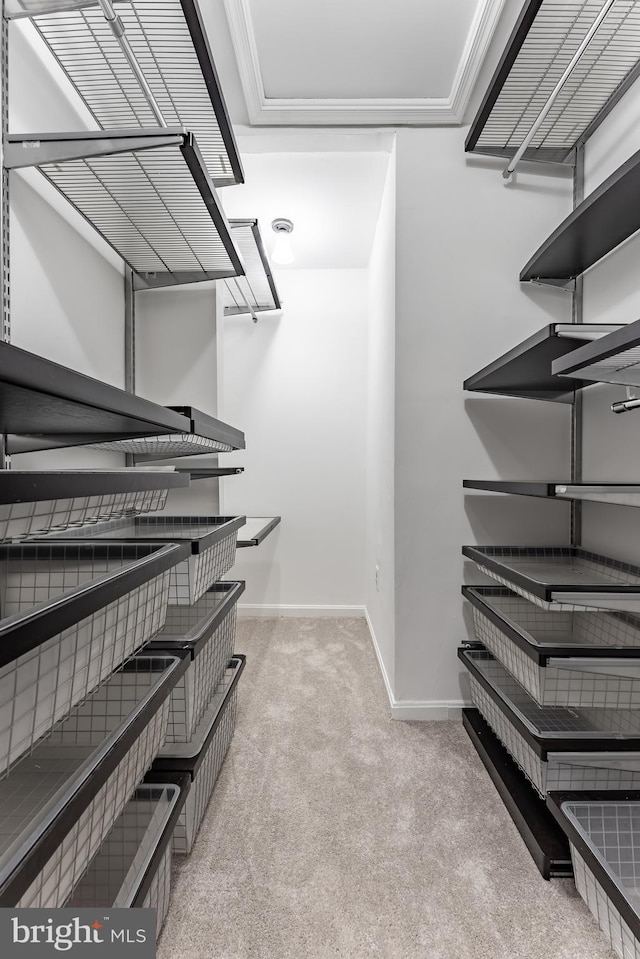 10447 Carriagepark Ct, Fairfax, VA 22032 - walk in closet featuring carpet flooring