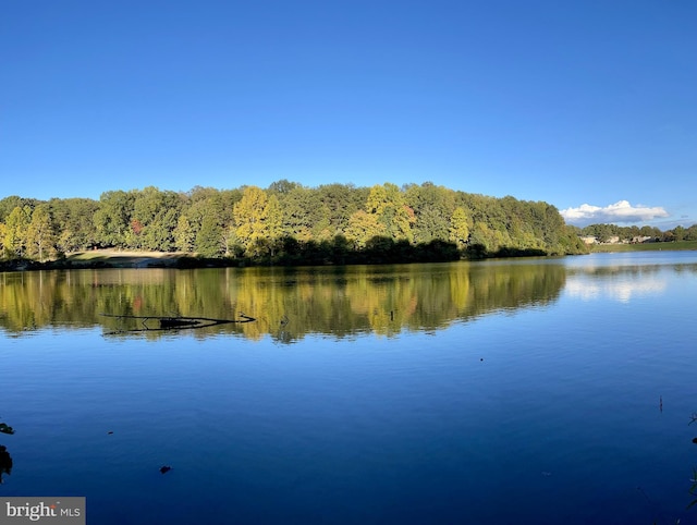 10447 Carriagepark Ct, Fairfax, VA 22032 - water view featuring a heavily wooded area