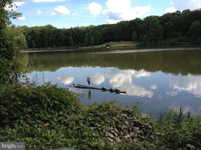 10447 Carriagepark Ct, Fairfax, VA 22032 - water view featuring a forest