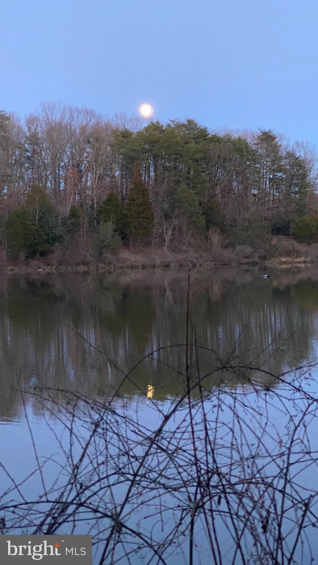 10447 Carriagepark Ct, Fairfax, VA 22032 - water view