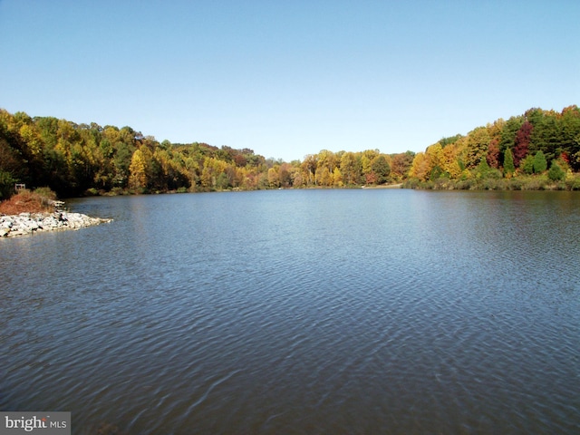 10447 Carriagepark Ct, Fairfax, VA 22032 - water view featuring a forest