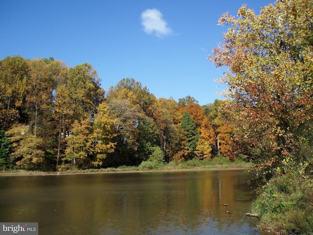 10447 Carriagepark Ct, Fairfax, VA 22032 - water view with a heavily wooded area