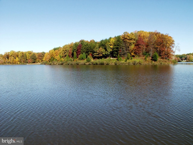 10447 Carriagepark Ct, Fairfax, VA 22032 - water view